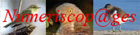 Carnets Naturalistes Sarthois Numriscopages